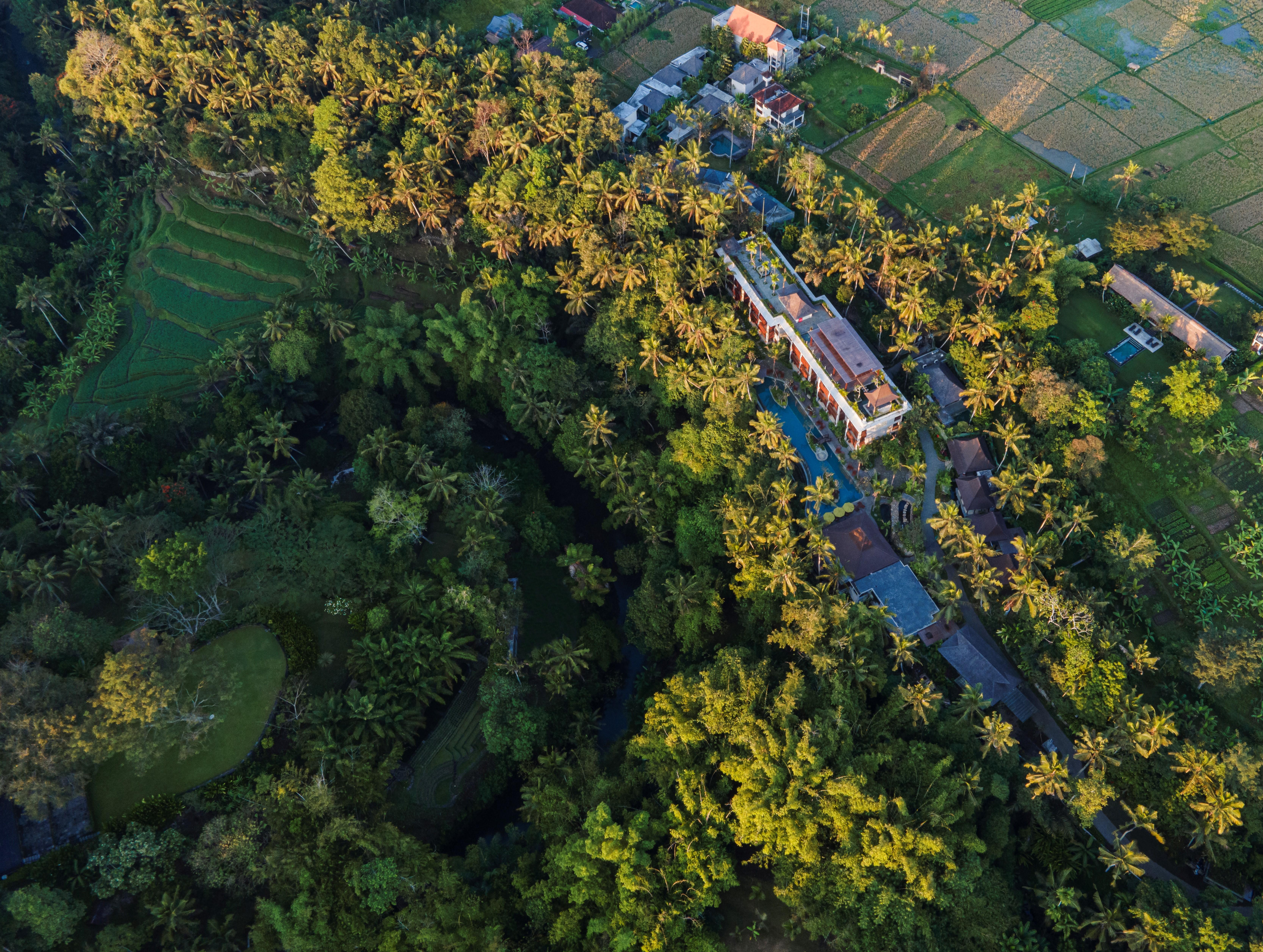 Arkamara Dijiwa Ubud Exterior photo